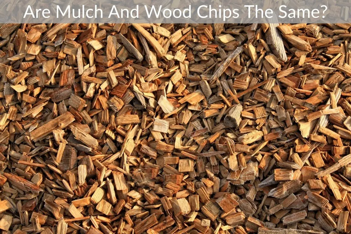 Are Mulch And Wood Chips The Same? Just Yardz