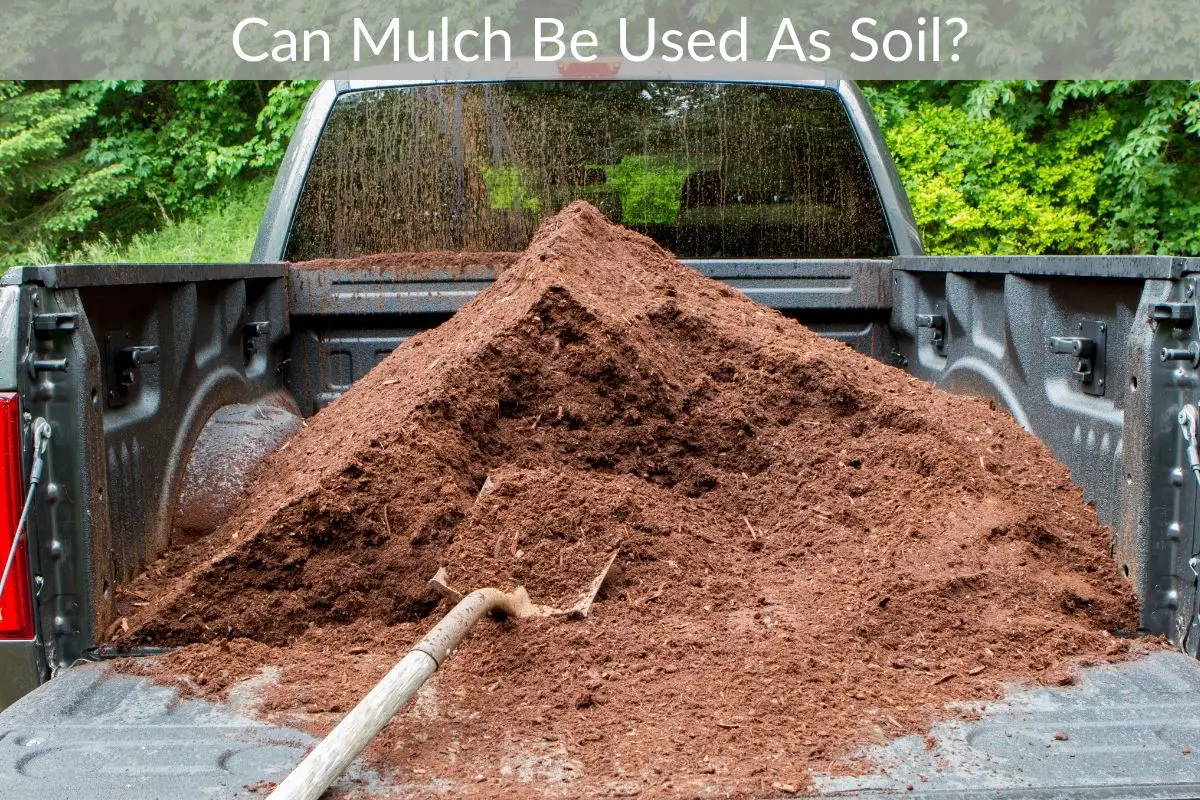 Can Mulch Be Used As Soil? Just Yardz