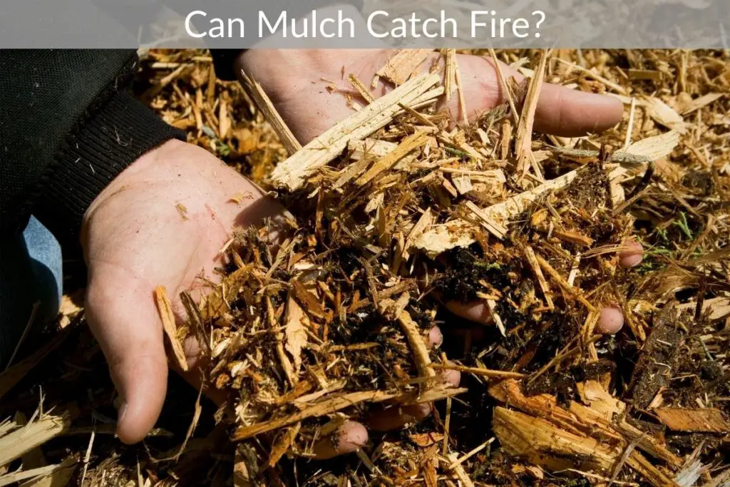 Can Mulch Catch Fire? Just Yardz