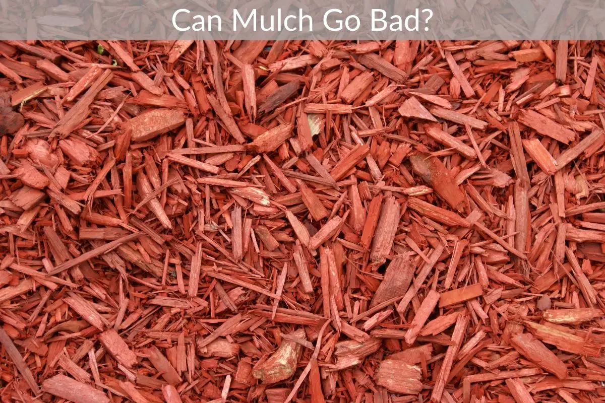 Can Mulch Go Bad? Just Yardz