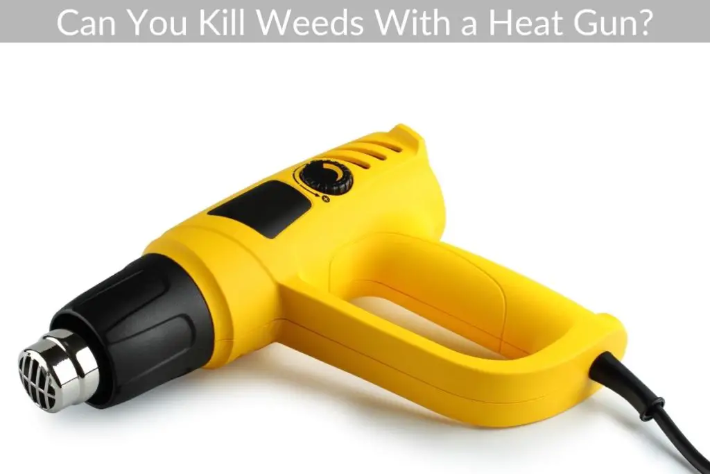 Can You Kill Weeds With a Heat Gun? Just Yardz
