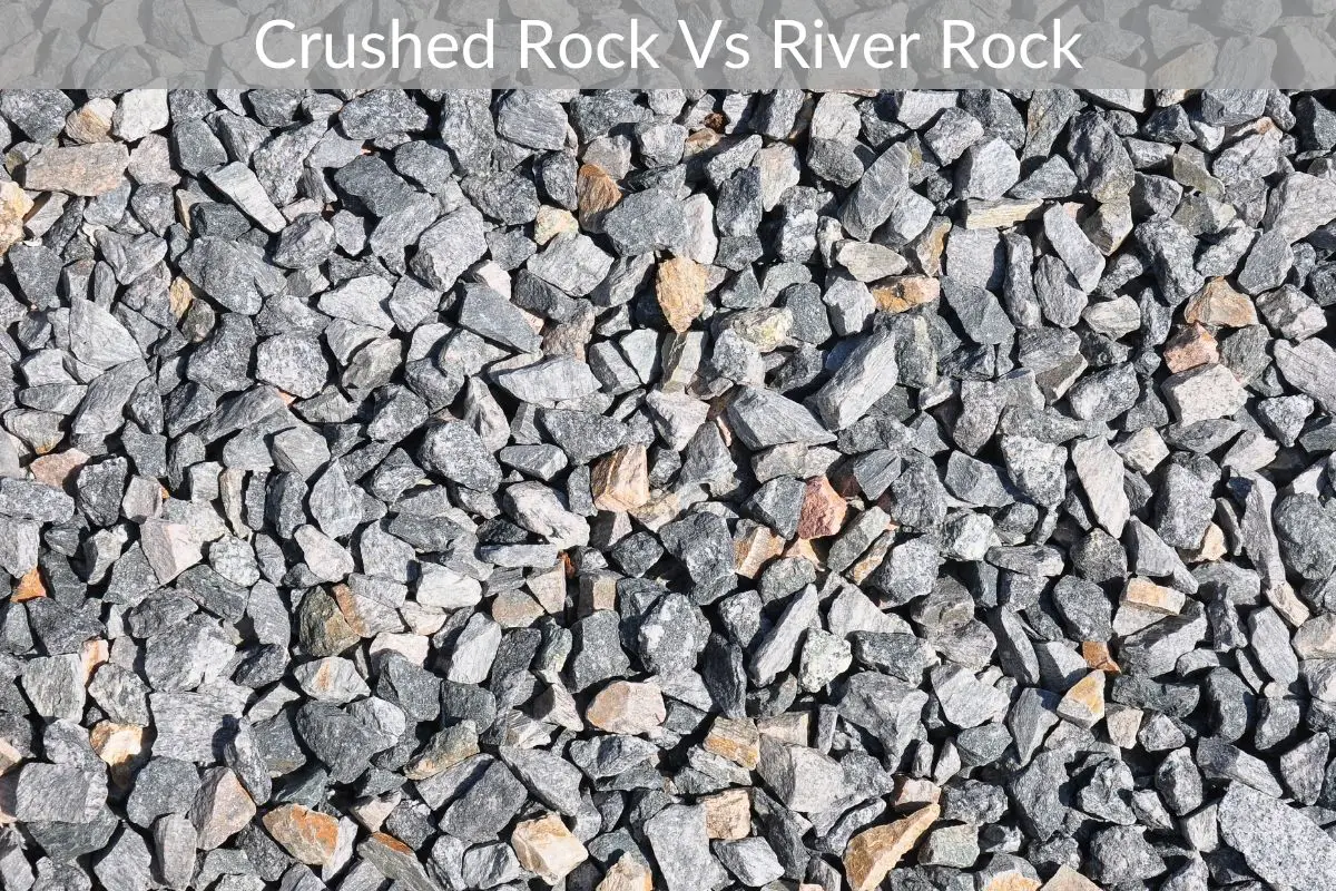 river rock vs gravel cost