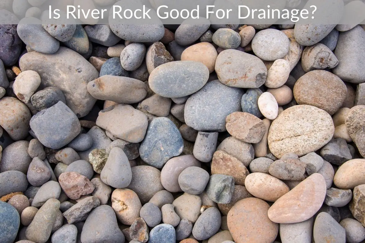Is River Rock Good For Drainage? Just Yardz