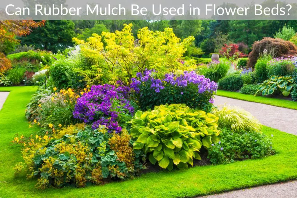 Can Rubber Mulch Be Used in Flower Beds? Just Yardz