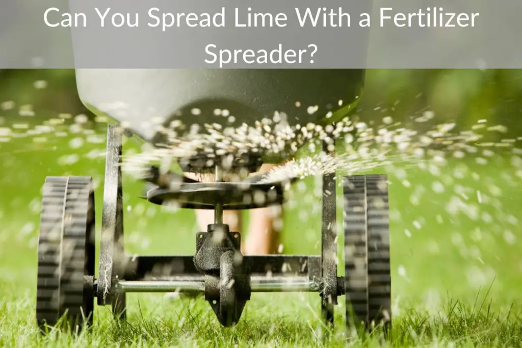 Can You Spread Lime With a Fertilizer Spreader?
