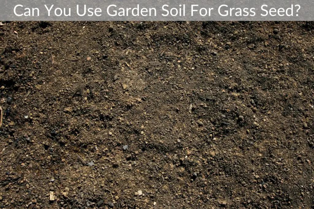 Can You Use Garden Soil For Grass Seed? Just Yardz