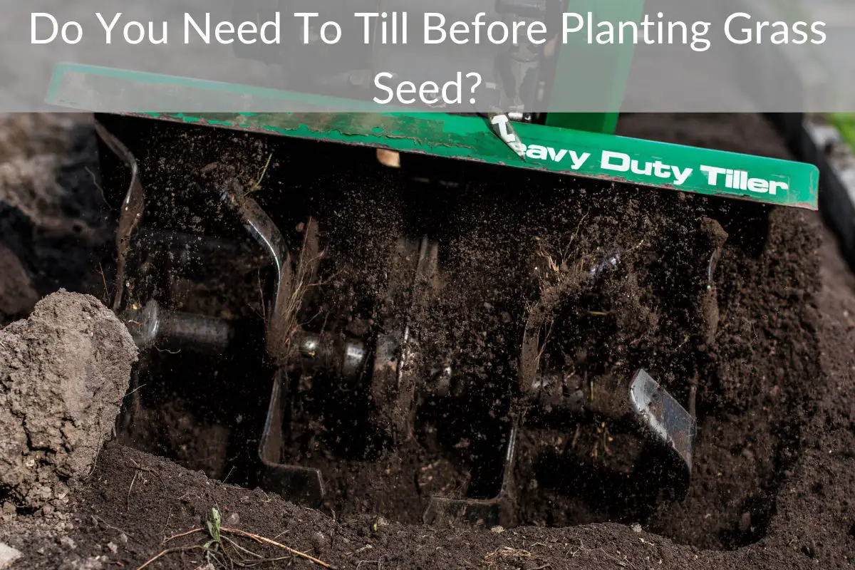Do You Need To Till Before Planting Grass Seed? Just Yardz