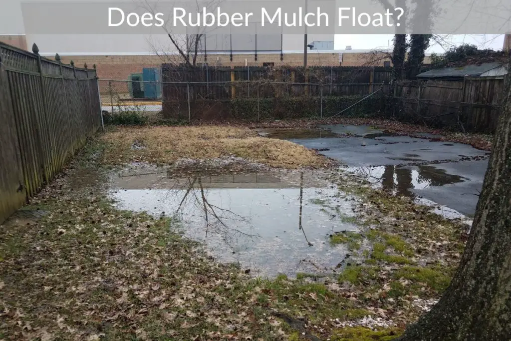 Does Rubber Mulch Float? Just Yardz