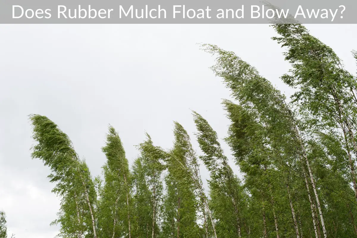 Does Rubber Mulch Float and Blow Away? Just Yardz