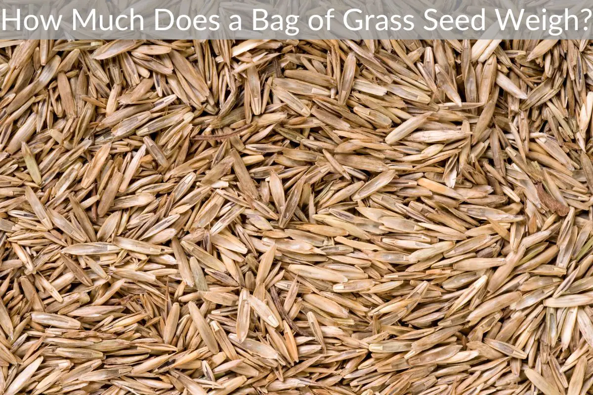 How Much Does a Bag of Grass Seed Weigh? Just Yardz
