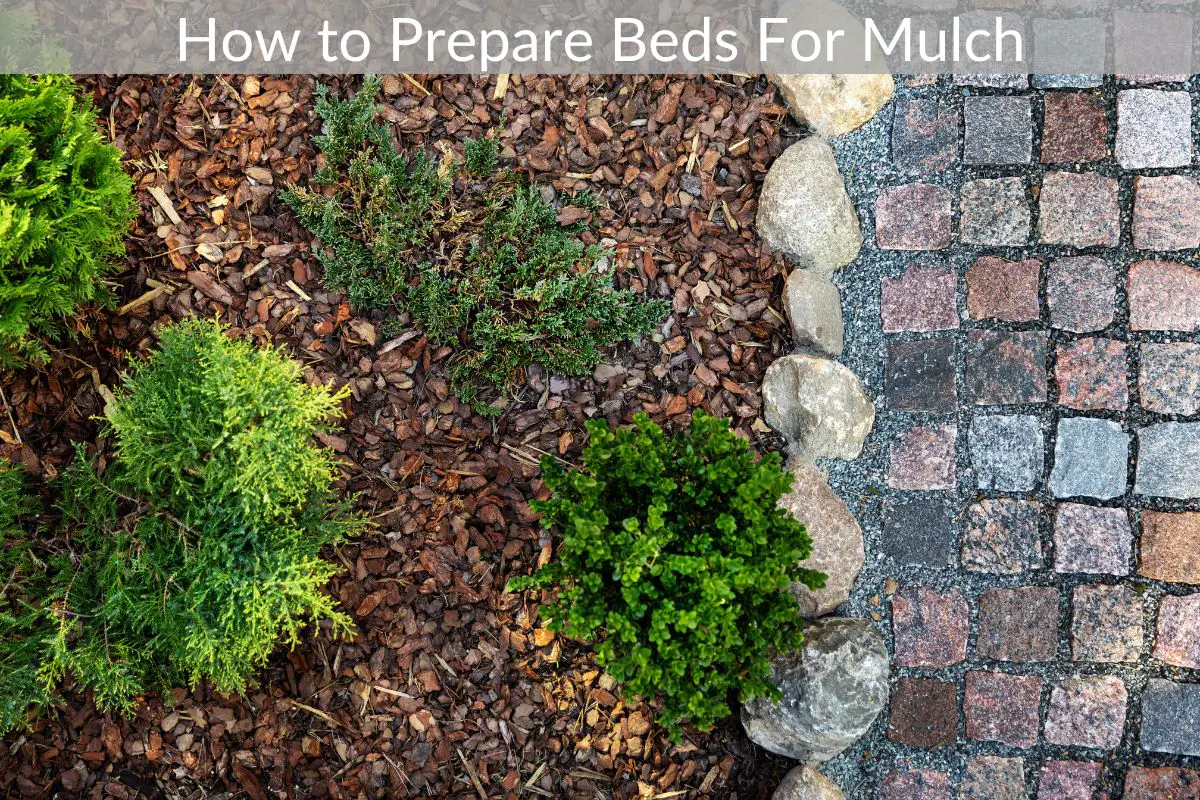 How to Prepare Beds For Mulch Just Yardz