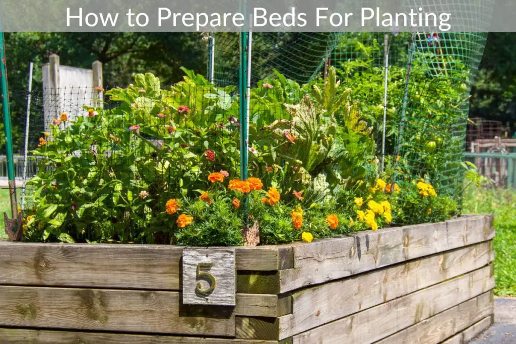 how-to-prepare-beds-for-planting-just-yardz