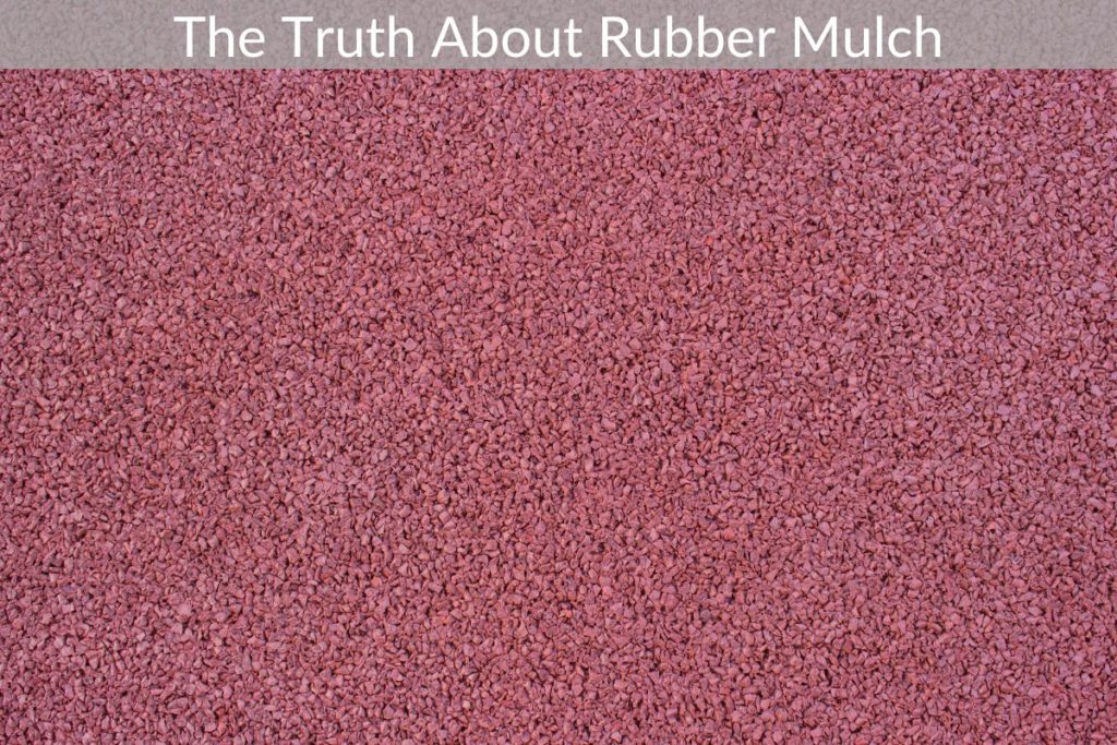 The Truth About Rubber Mulch Just Yardz