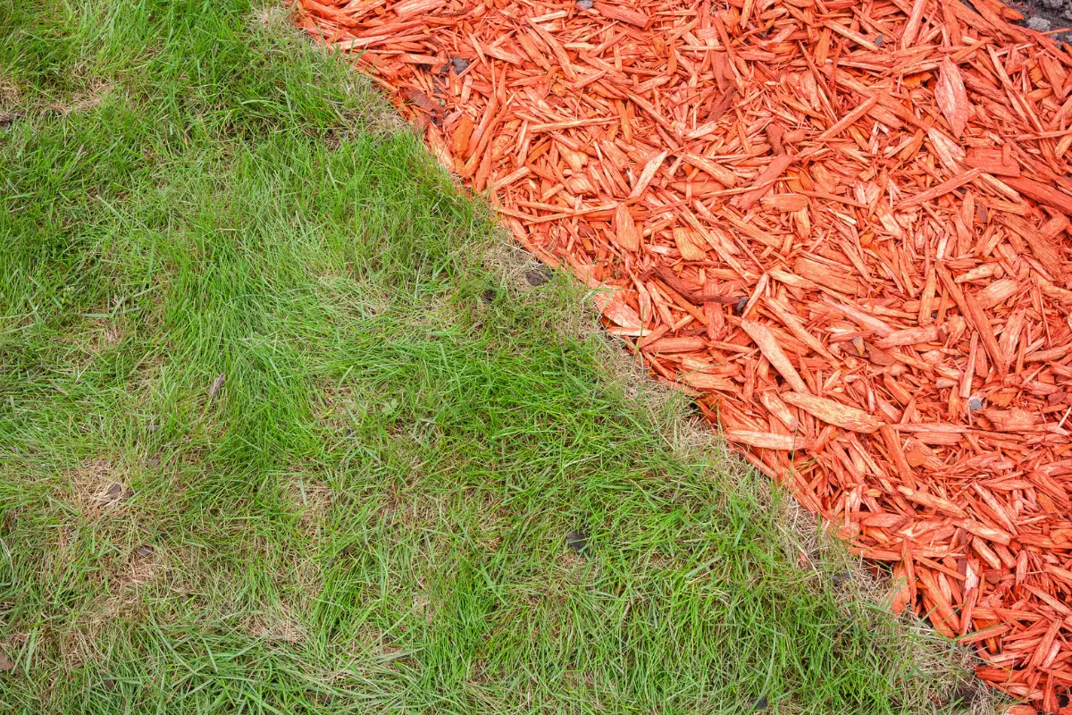 Alternatives to Mulch Just Yardz