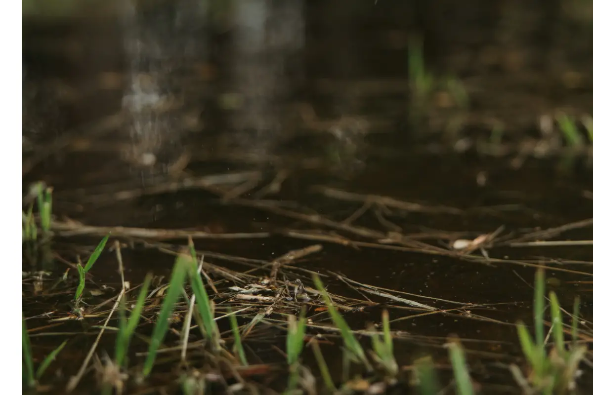 Can Mulch Cause Flooding? Just Yardz