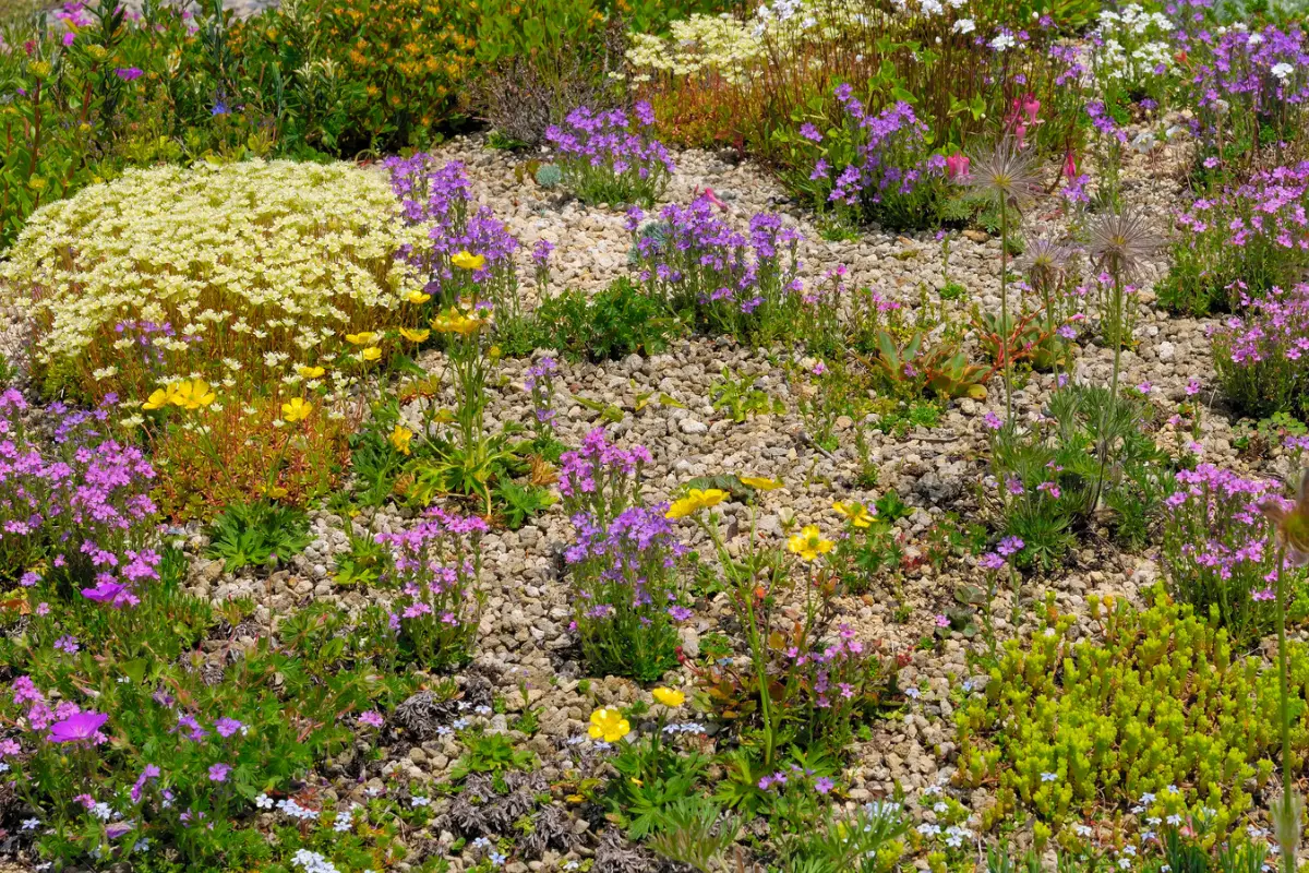 10-creative-ideas-for-using-river-rocks-in-your-garden-just-yardz